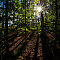 Autumn @ Cuyahoga