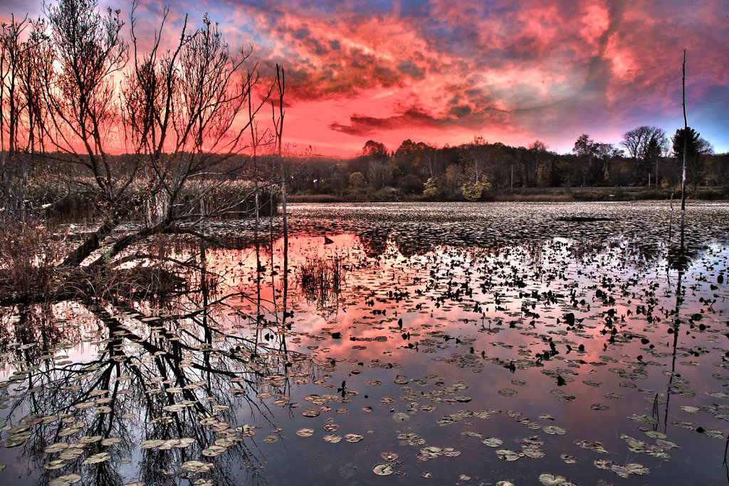 Sunset @ Beaver Marsh, Cuyahoga