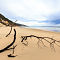 Beach @ Fraser Island
