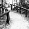 Trail @ Fraser Island