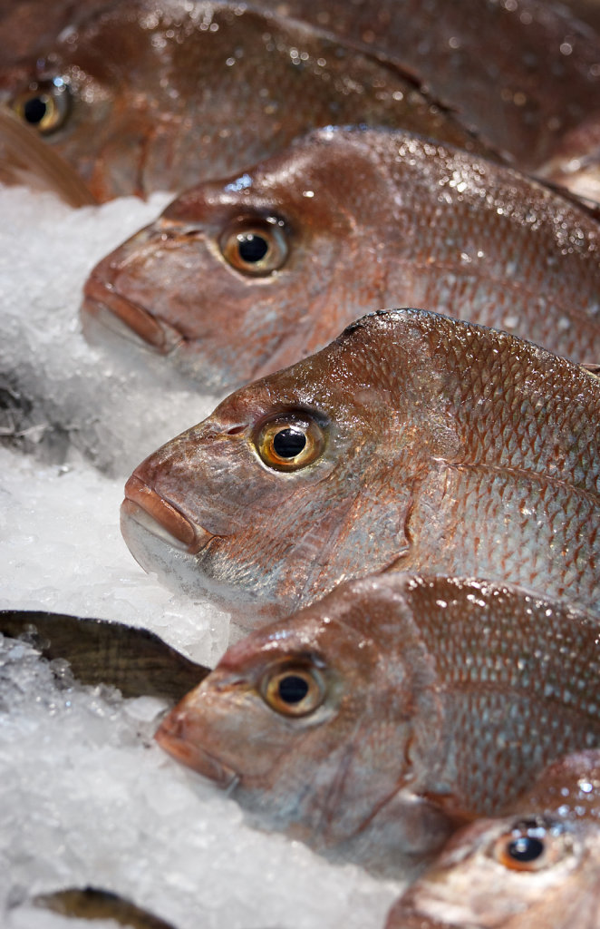 Sydney Fish Market