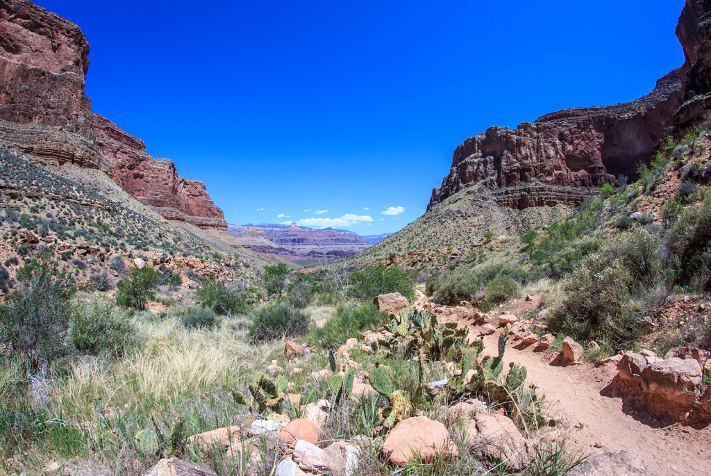 Bright Angel Trail, Grand Canyon National Park