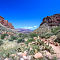 Bright Angel Trail, Grand Canyon National Park