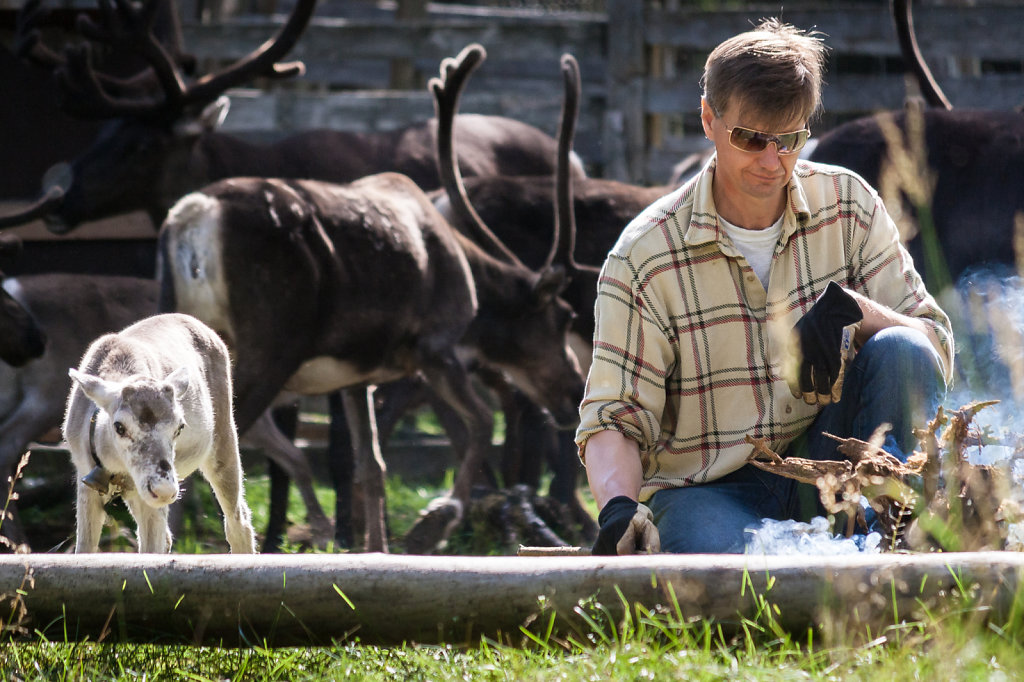 Sami @ Reindeer Farm, Lapland