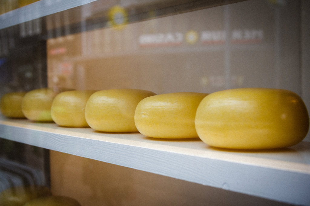 Cheese of Amsterdam